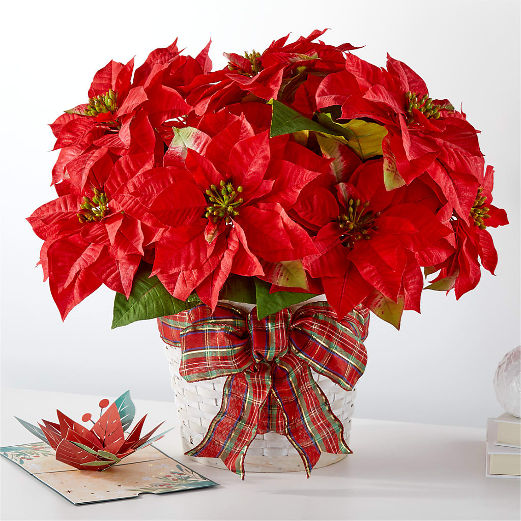 Happiest Holidays Poinsettia and Lovepop Card – Genoveva Rodriguez Flower Shop, San Benito TX