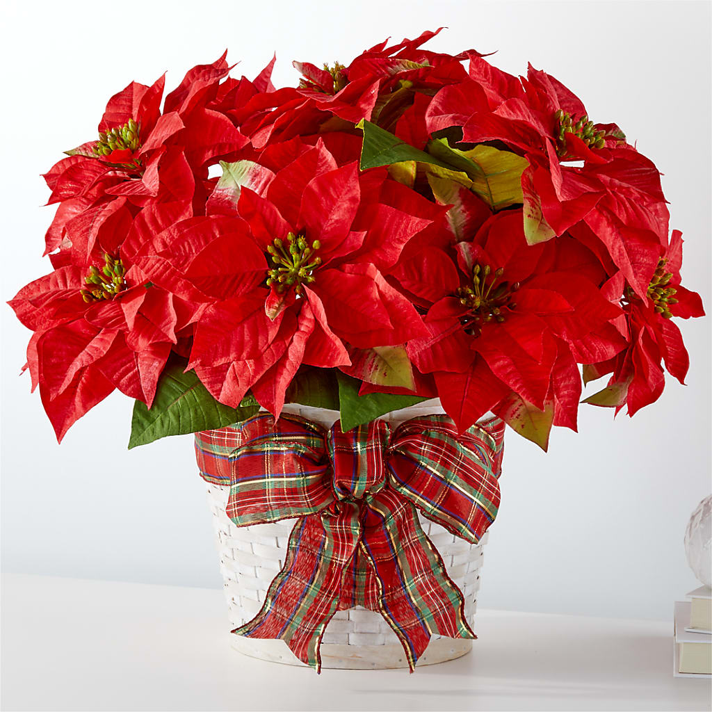 Happiest Holidays Poinsettia – Genoveva Rodriguez Flower Shop, San Benito TX