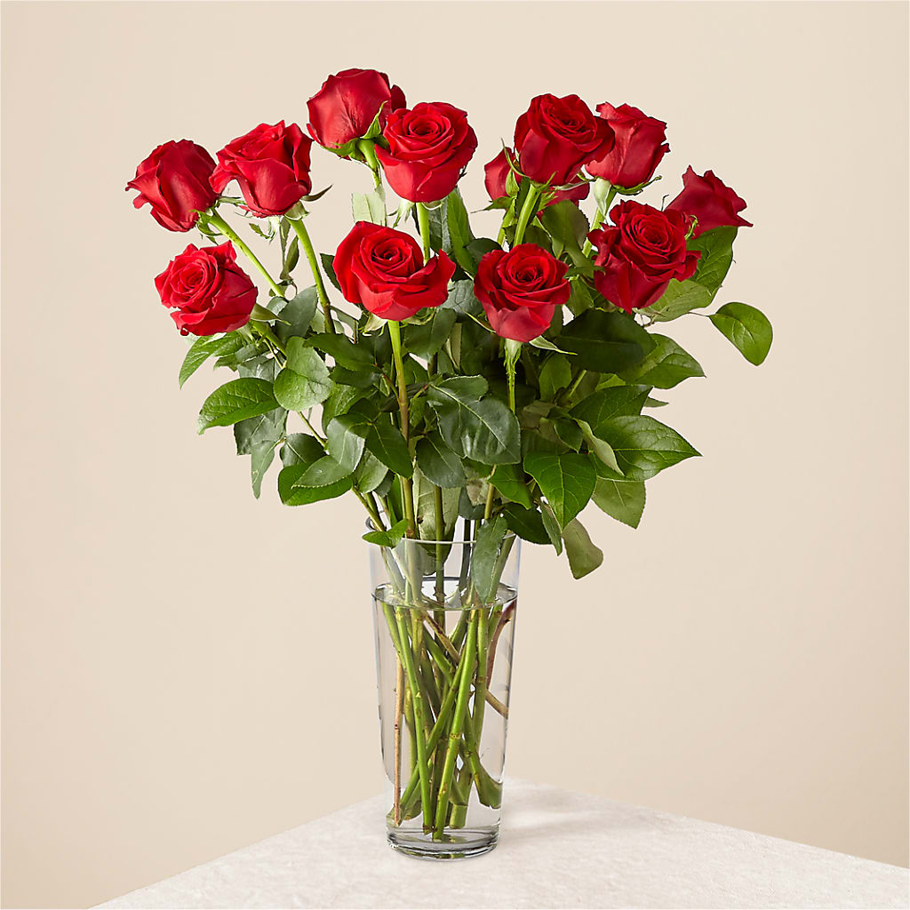 Long Stem Red Rose Bouquet – Genoveva Rodriguez Flower Shop, San Benito TX