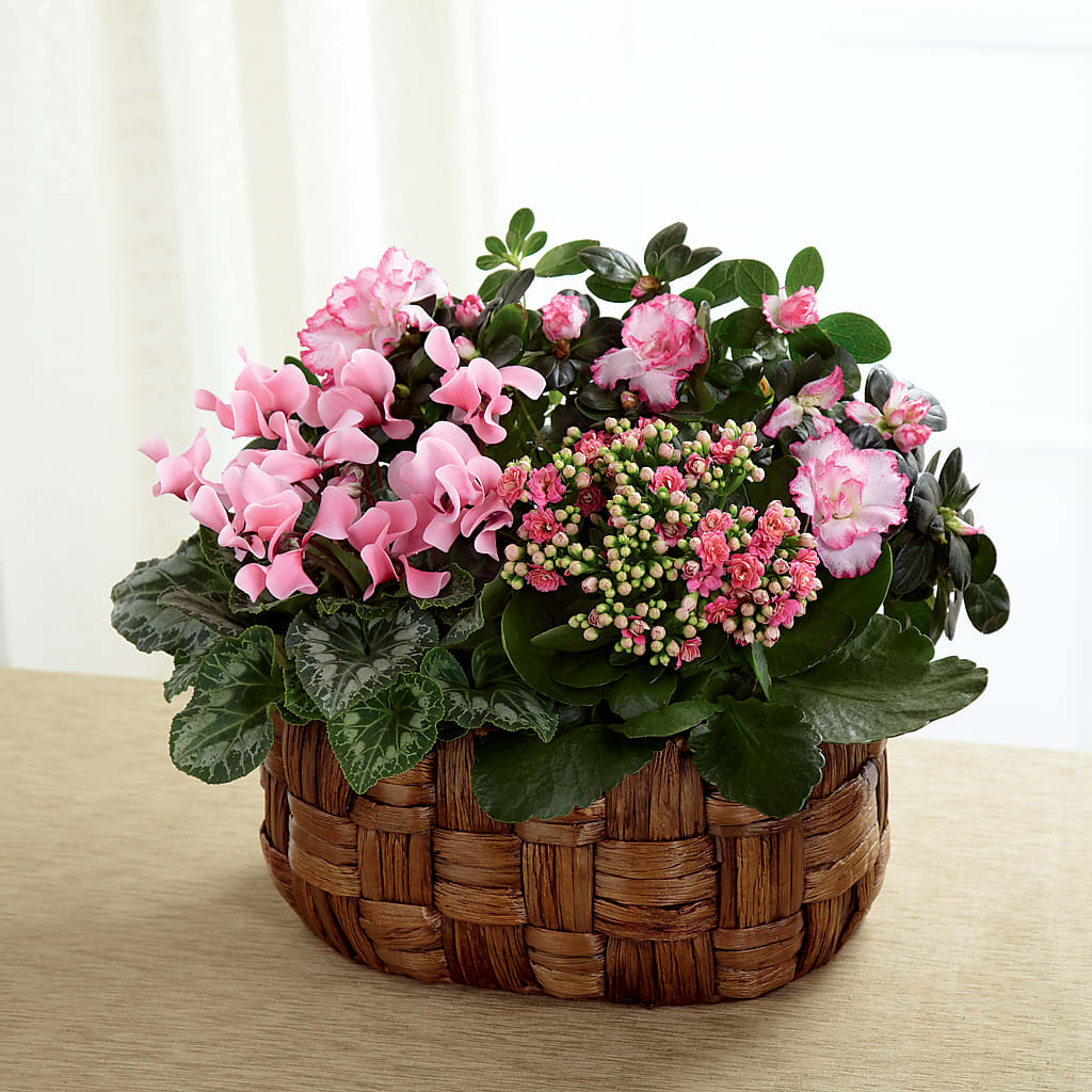Pink Assortment – Genoveva Rodriguez Flower Shop, San Benito TX
