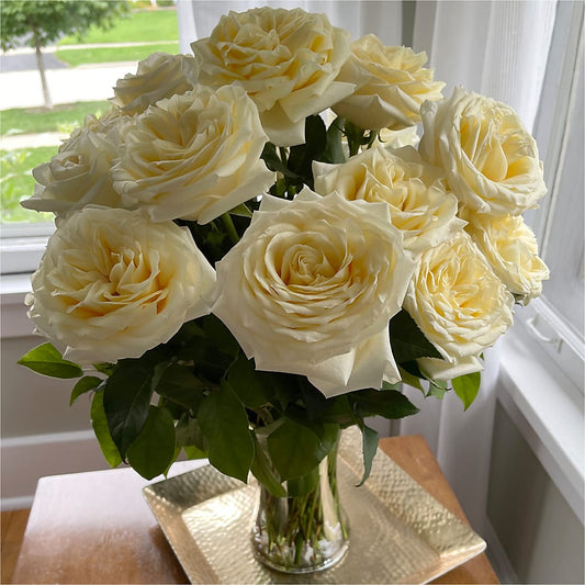 Long Stem Yellow Rose Bouquet – Genoveva Rodriguez Flower Shop, San Benito TX