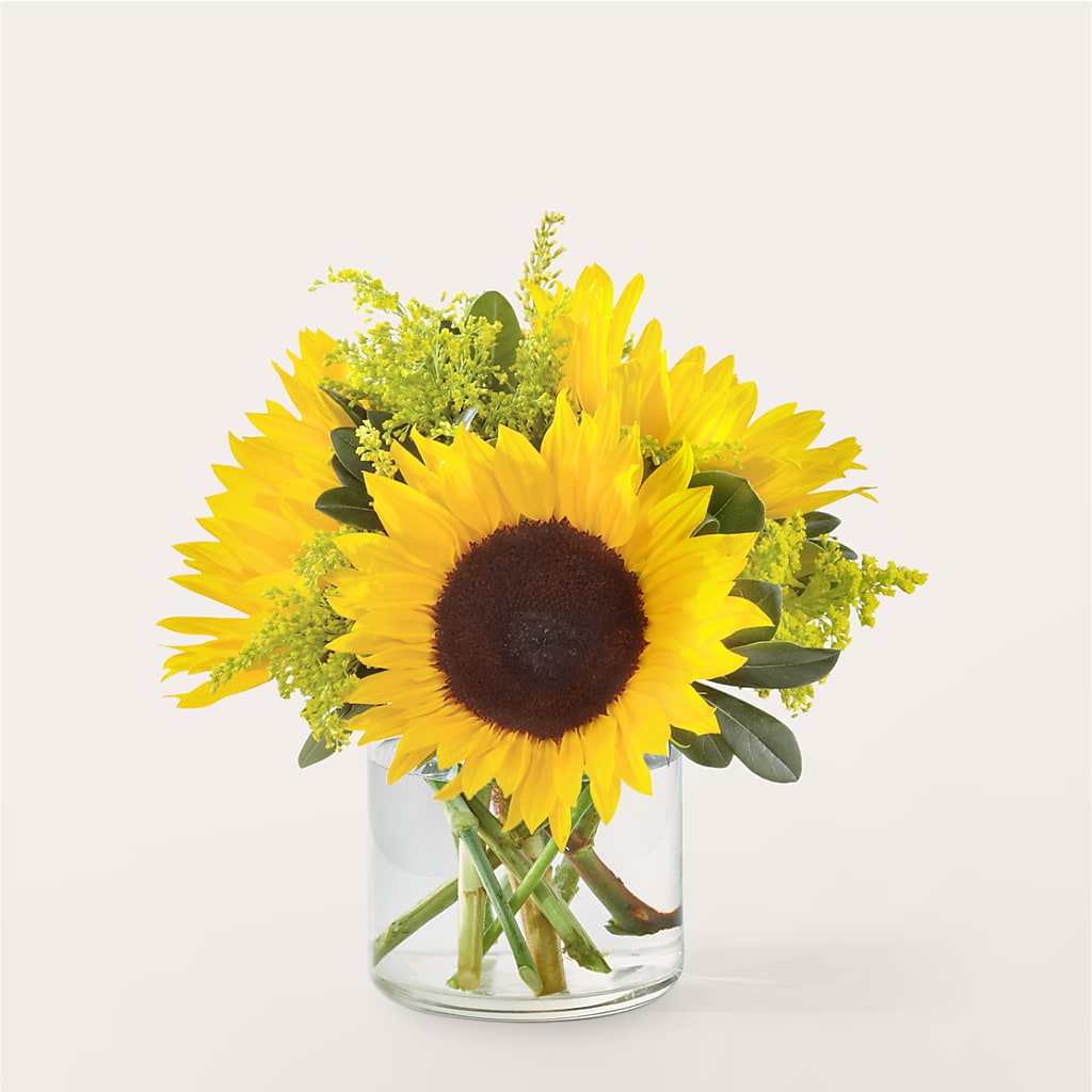 Beaming Sunflower Bouquet – Genoveva Rodriguez Flower Shop, San Benito TX