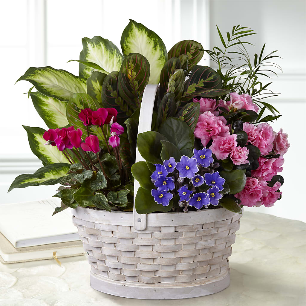 Peaceful Garden Planter – Genoveva Rodriguez Flower Shop, San Benito TX