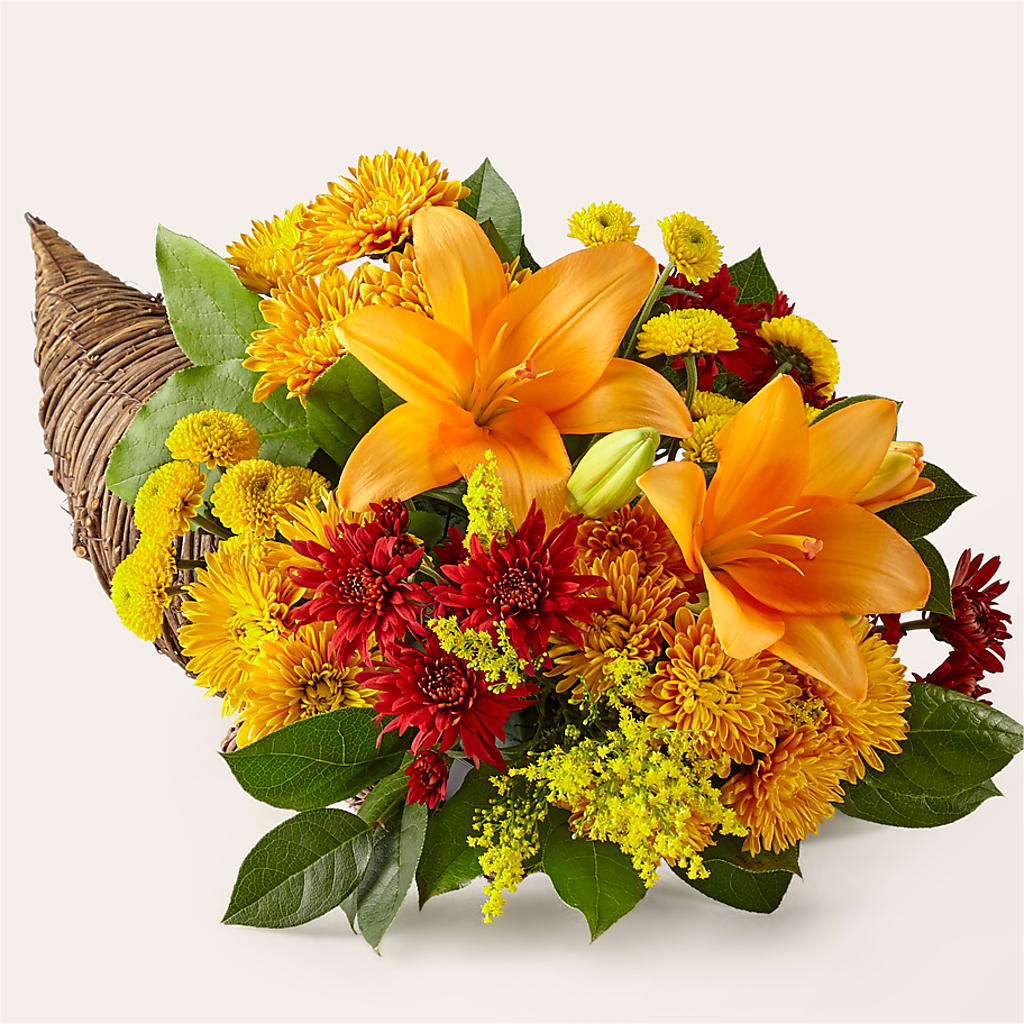 Feast of Color Cornucopia