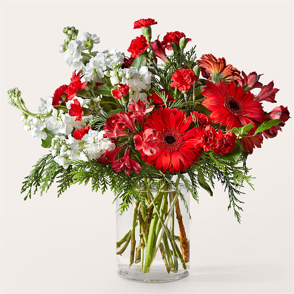 Holidaisy Bouquet – Genoveva Rodriguez Flower Shop, San Benito TX