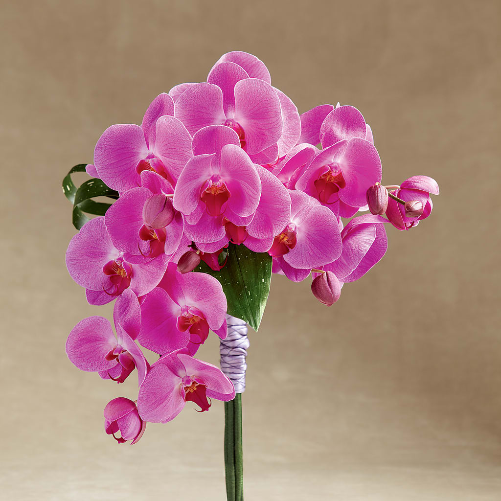 Glorious Bouquet – Genoveva Rodriguez Flower Shop, San Benito TX