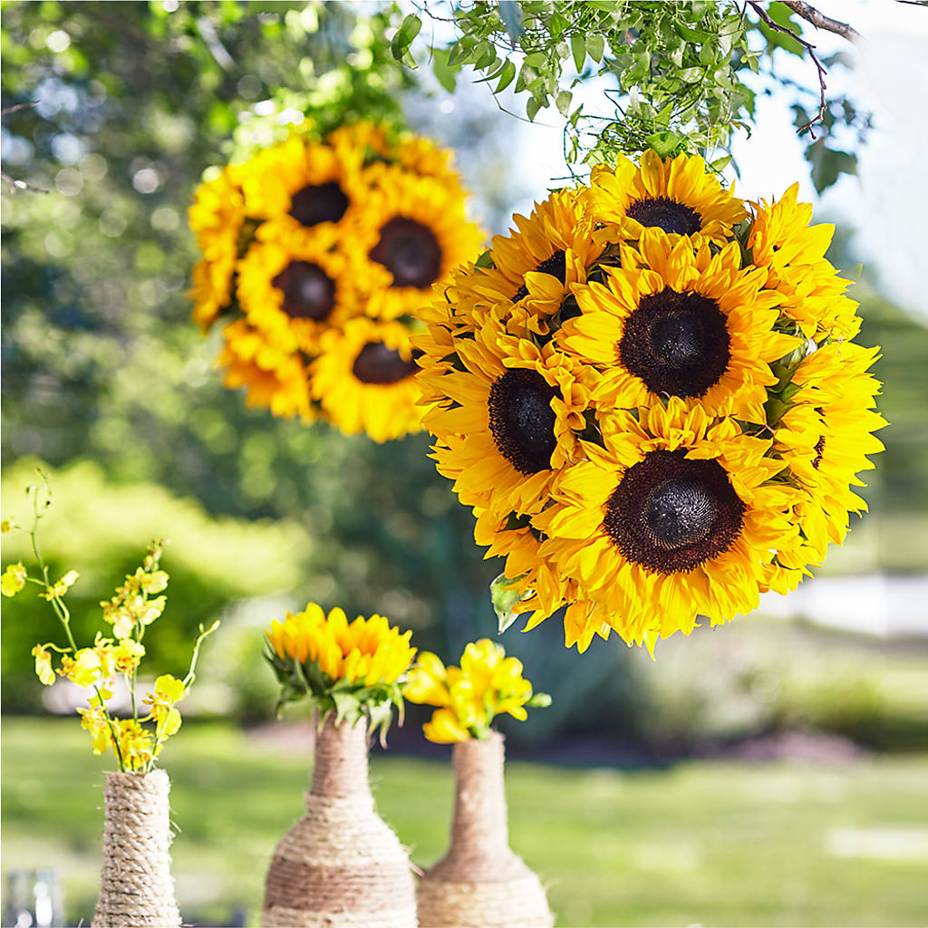 Sublime Garden Hanging Arrangement – Genoveva Rodriguez Flower Shop, San Benito TX
