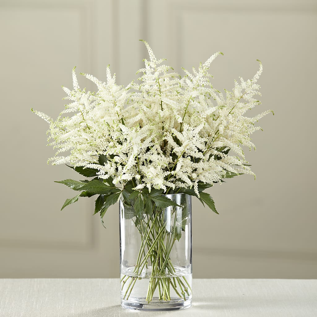 White Astilbe Bouquet – Genoveva Rodriguez Flower Shop, San Benito TX