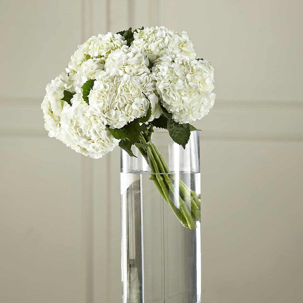 White Hydrangea Hand-Tied Bouquet – Genoveva Rodriguez Flower Shop, San Benito TX