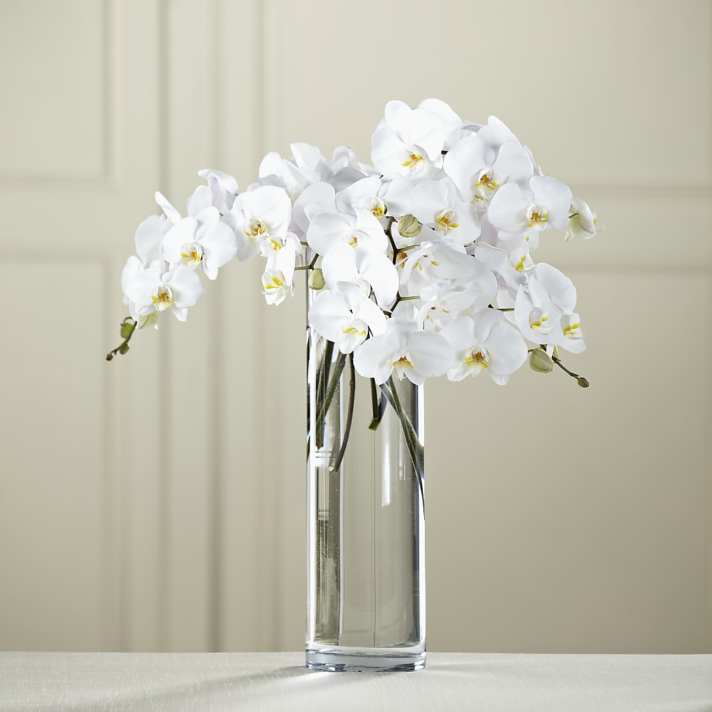 White Phalaenopsis Bouquet – Genoveva Rodriguez Flower Shop, San Benito TX