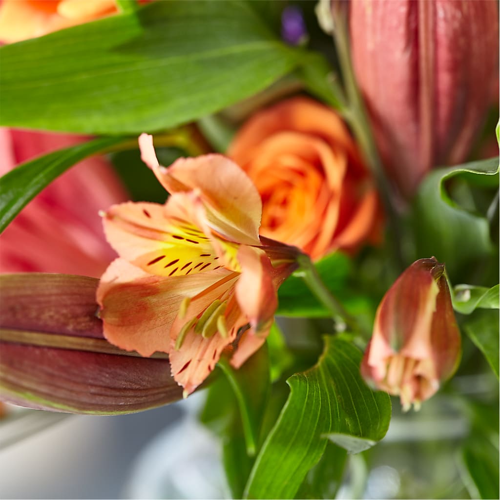 Bold & Bright – A Florist Original –  Genoveva Rodriguez Flower Shop, San Benito TX