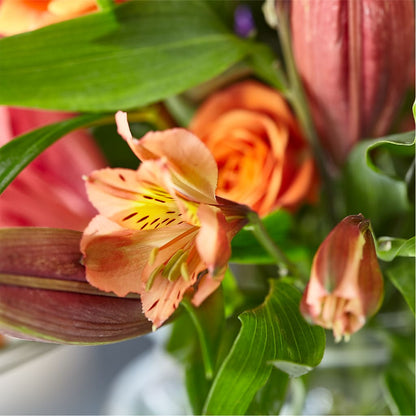Bold & Bright – A Florist Original –  Genoveva Rodriguez Flower Shop, San Benito TX
