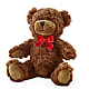 Adorable Plush Bear –  Genoveva Rodriguez Flower Shop, San Benito TX