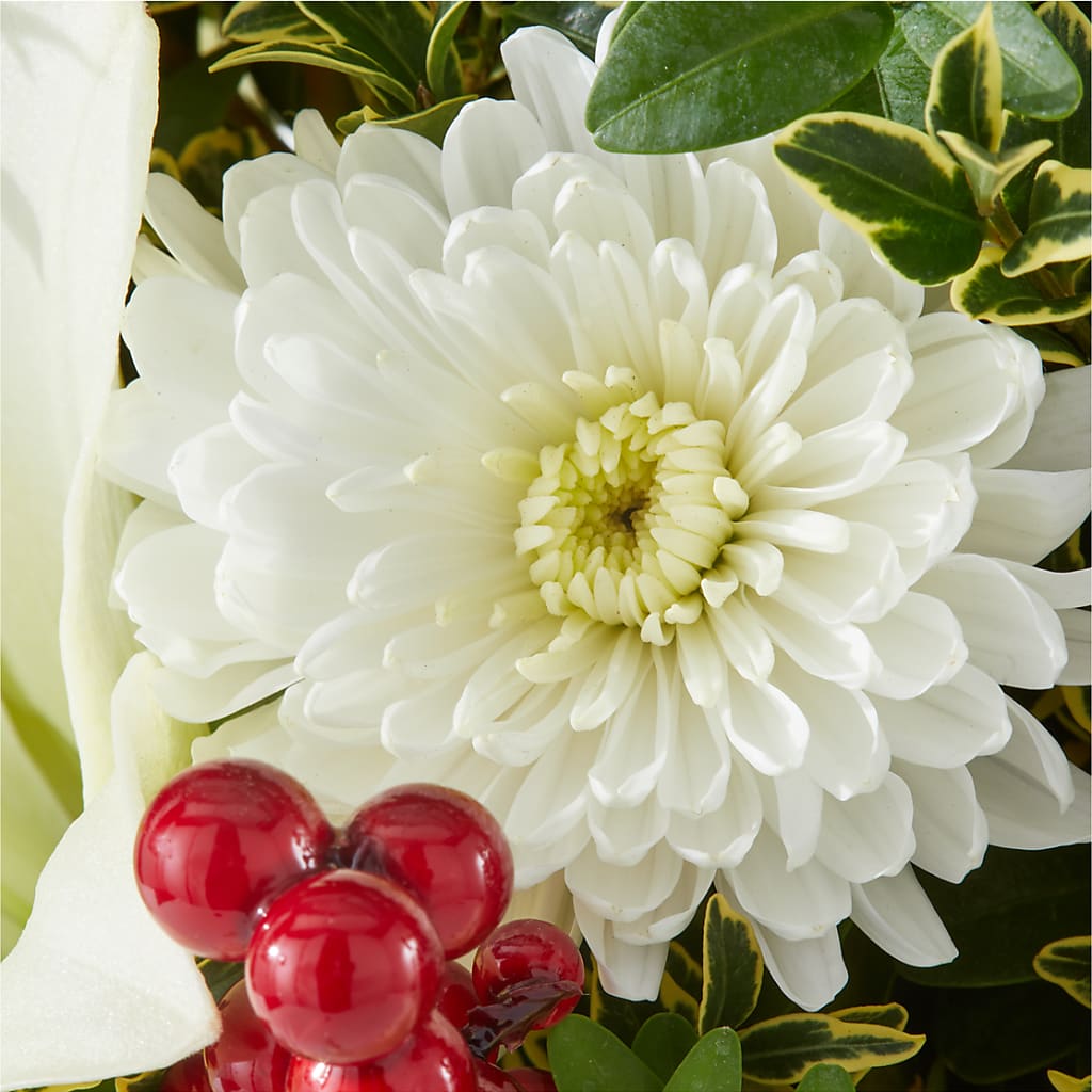 Festive Moments Tree –  Genoveva Rodriguez Flower Shop, San Benito TX