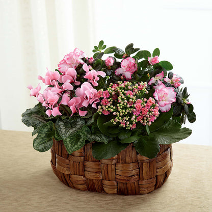 Pink Assortment –  Genoveva Rodriguez Flower Shop, San Benito TX