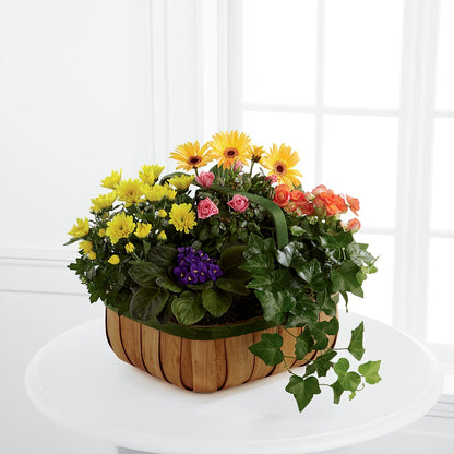 Gentle Blossoms Basket –  Genoveva Rodriguez Flower Shop, San Benito TX