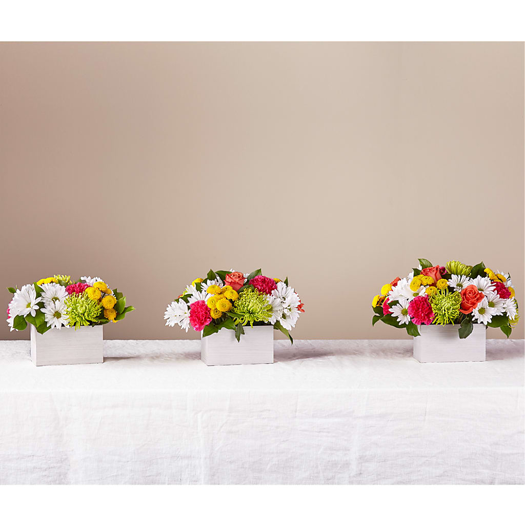 Sorbet Bouquet –  Genoveva Rodriguez Flower Shop, San Benito TX
