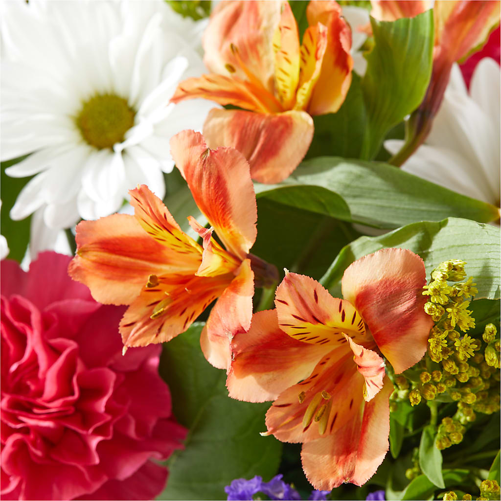 Oopsie Daisy Box Bouquet –  Genoveva Rodriguez Flower Shop, San Benito TX