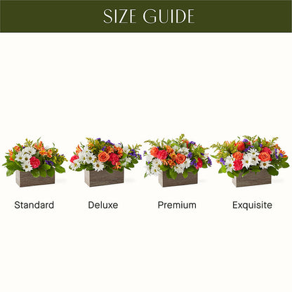 Oopsie Daisy Box Bouquet –  Genoveva Rodriguez Flower Shop, San Benito TX