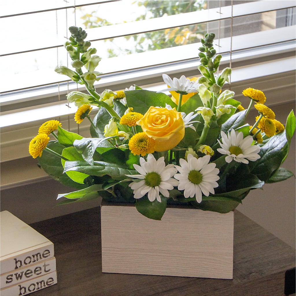 Sun Salutation Box Bouquet –  Genoveva Rodriguez Flower Shop, San Benito TX