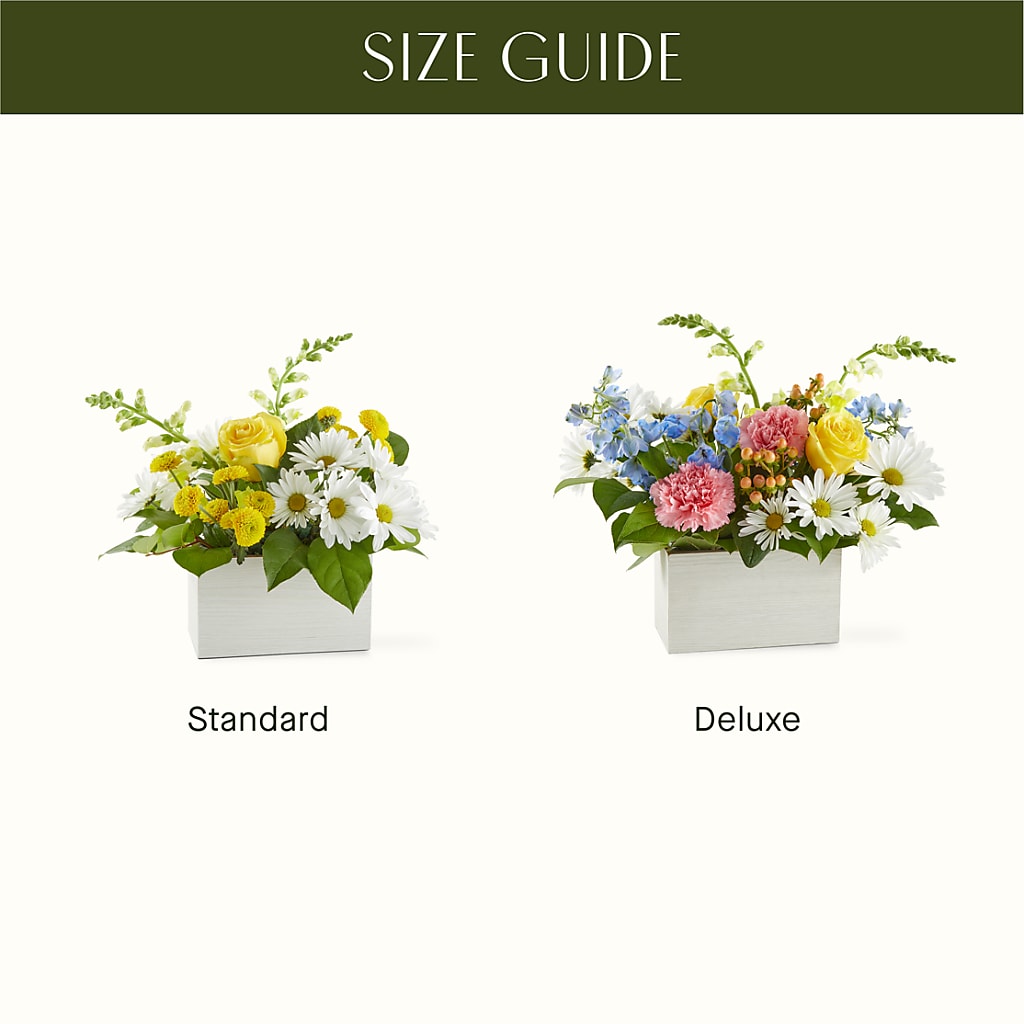 Sun Salutation Box Bouquet –  Genoveva Rodriguez Flower Shop, San Benito TX