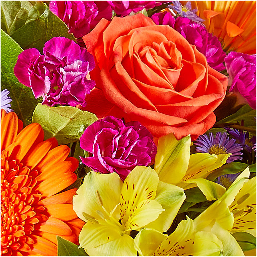 Tricks & Treats Pumpkin –  Genoveva Rodriguez Flower Shop, San Benito TX