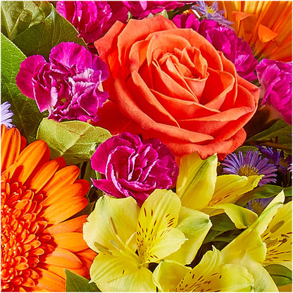 Tricks & Treats Pumpkin –  Genoveva Rodriguez Flower Shop, San Benito TX