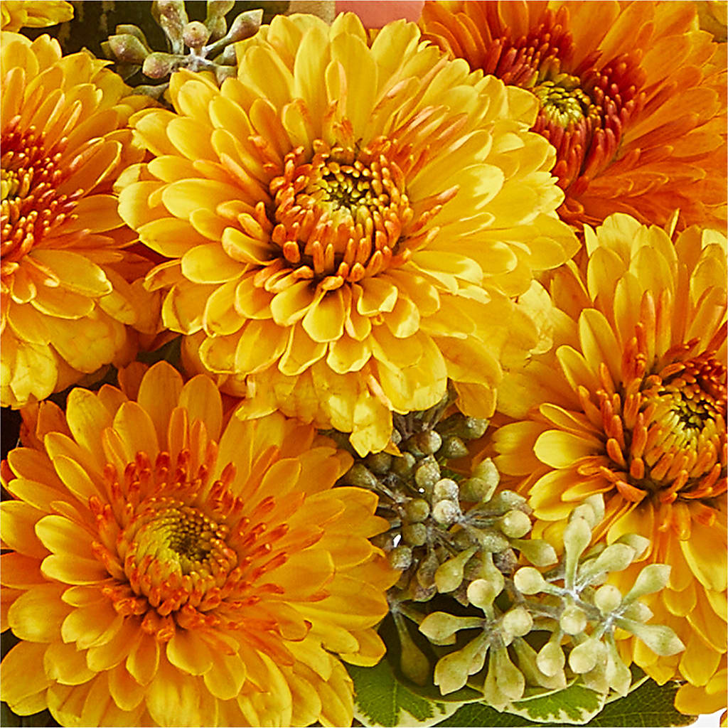 Peachy Pumpkin –  Genoveva Rodriguez Flower Shop, San Benito TX