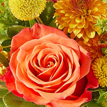 Gourdgeous Pumpkin –  Genoveva Rodriguez Flower Shop, San Benito TX