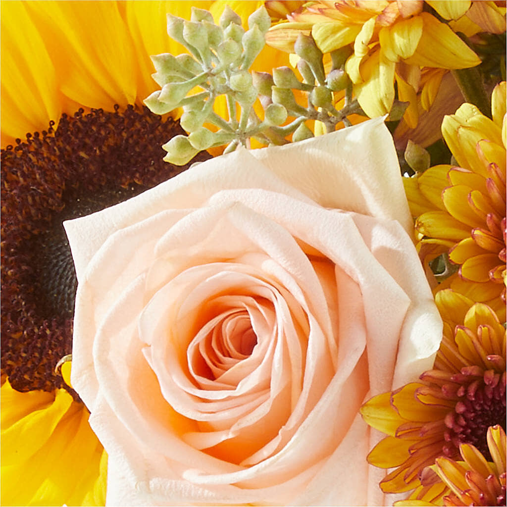Pumpkin to Talk About Bouquet –  Genoveva Rodriguez Flower Shop, San Benito TX