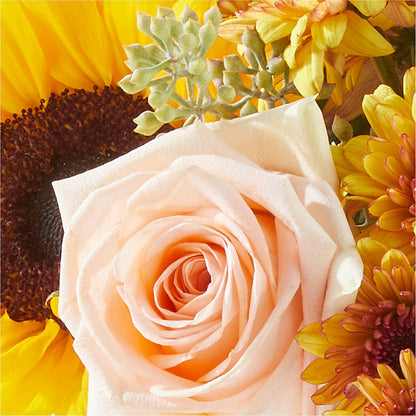 Pumpkin to Talk About Bouquet –  Genoveva Rodriguez Flower Shop, San Benito TX