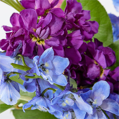 Twilight Glow Bouquet –  Genoveva Rodriguez Flower Shop, San Benito TX