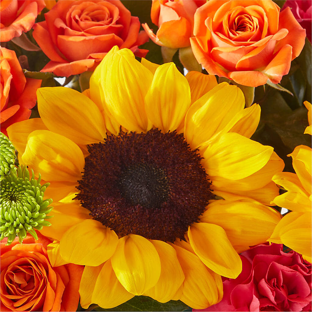Sun-drenched Blooms Box Bouquet –  Genoveva Rodriguez Flower Shop, San Benito TX