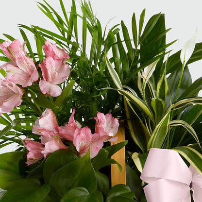 Living Spirit Dishgarden –  Genoveva Rodriguez Flower Shop, San Benito TX