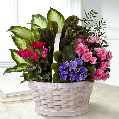 Peaceful Garden Planter –  Genoveva Rodriguez Flower Shop, San Benito TX