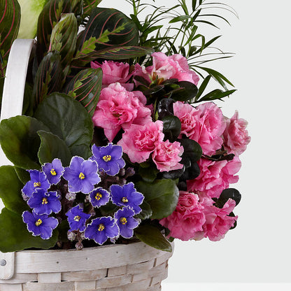 Peaceful Garden Planter –  Genoveva Rodriguez Flower Shop, San Benito TX