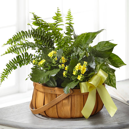 Always Dear Dishgarden –  Genoveva Rodriguez Flower Shop, San Benito TX