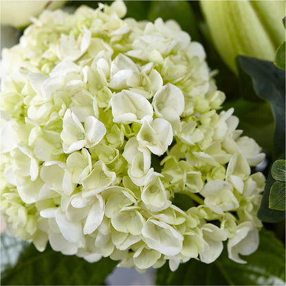 Classic Ivory – A Florist Original –  Genoveva Rodriguez Flower Shop, San Benito TX