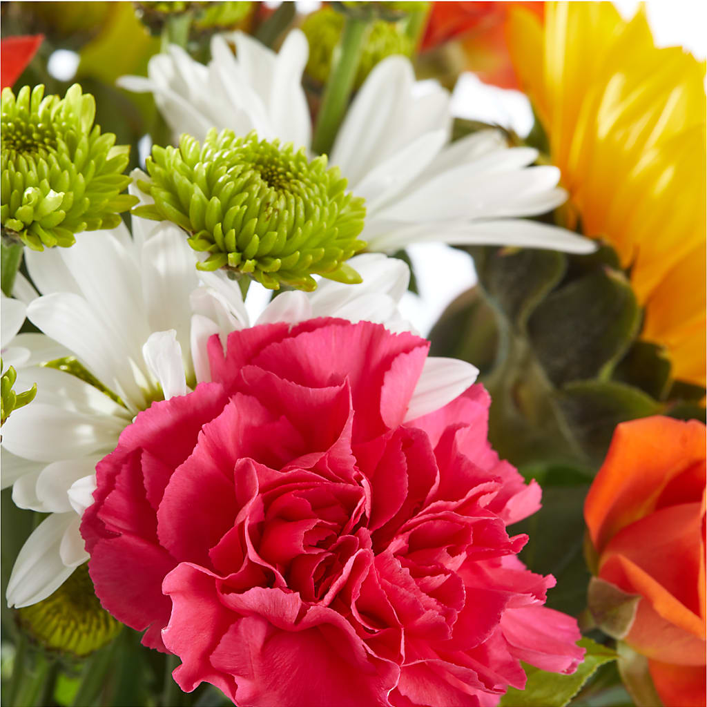 Sun-drenched Blooms Bouquet –  Genoveva Rodriguez Flower Shop, San Benito TX