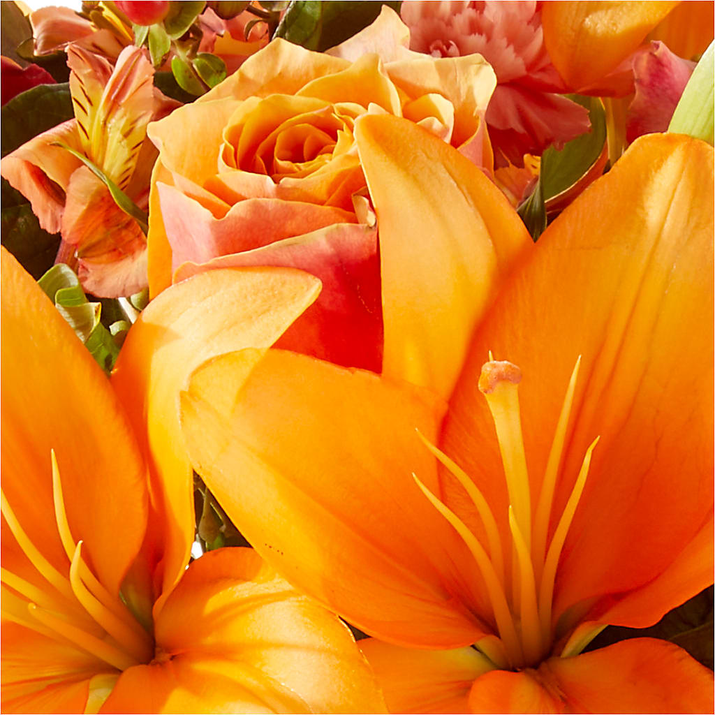 Afternoon Light Bouquet –  Genoveva Rodriguez Flower Shop, San Benito TX