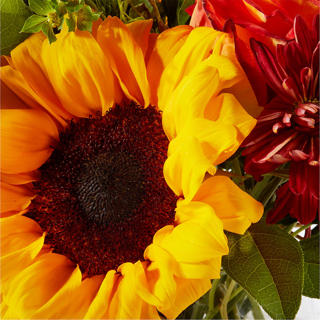 Harvest Festival Bouquet –  Genoveva Rodriguez Flower Shop, San Benito TX