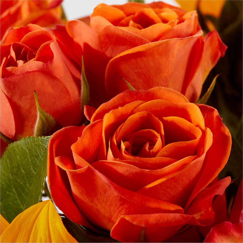 Picnic in the Park Bouquet –  Genoveva Rodriguez Flower Shop, San Benito TX