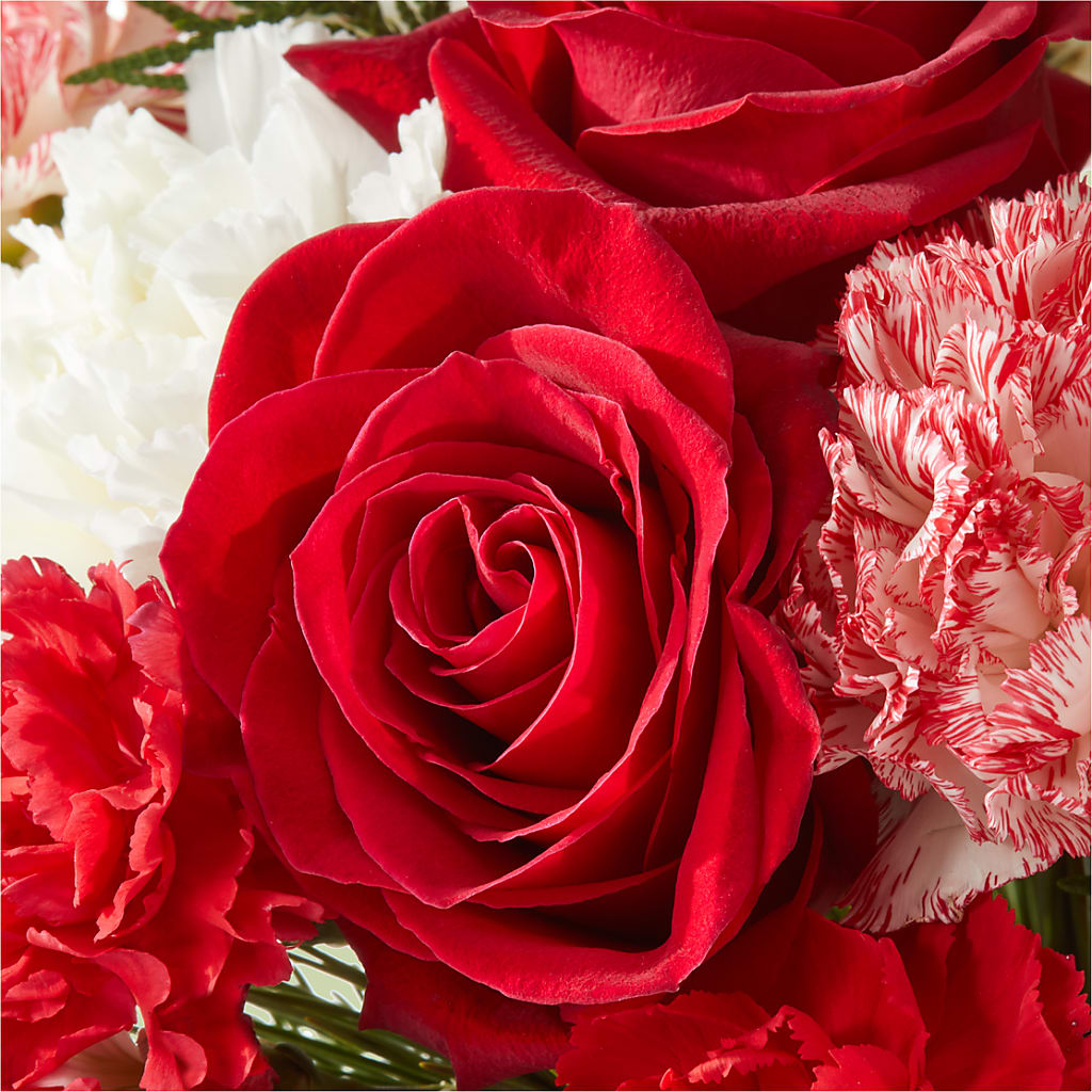 Candy Cane Lane Bouquet –  Genoveva Rodriguez Flower Shop, San Benito TX