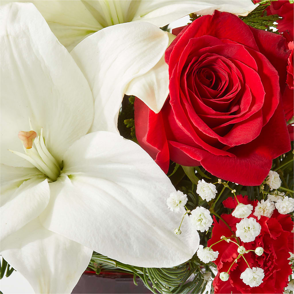 Holiday Season Bouquet –  Genoveva Rodriguez Flower Shop, San Benito TX