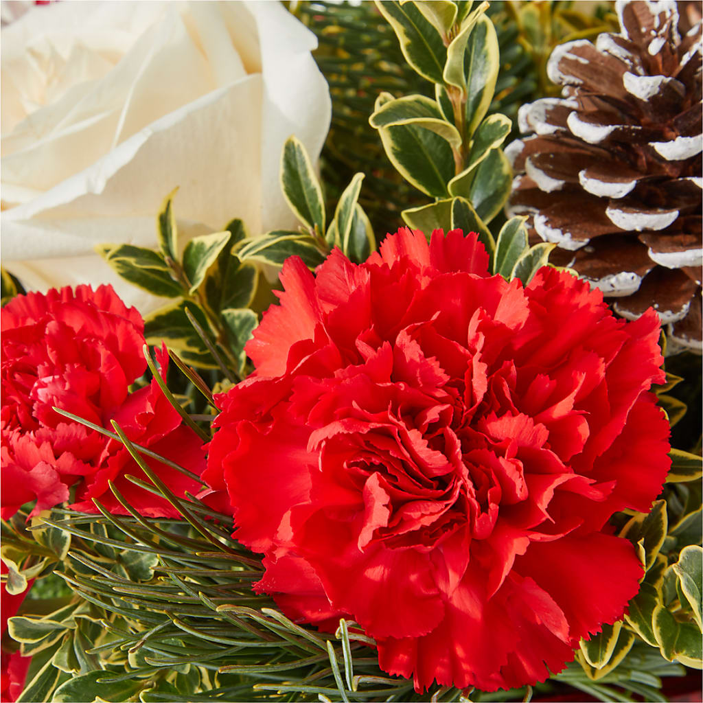 Christmas Market Bouquet –  Genoveva Rodriguez Flower Shop, San Benito TX