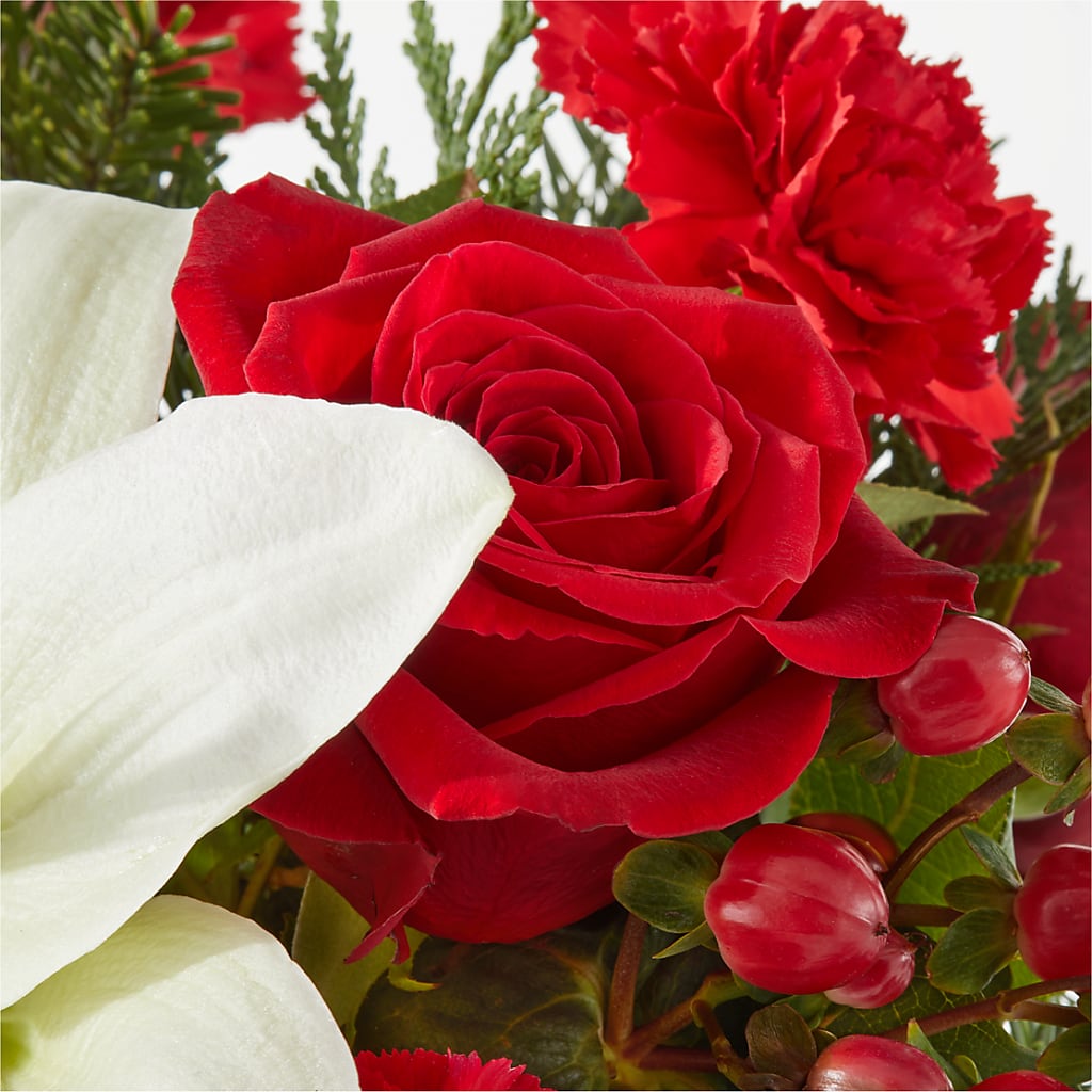 Oh So Jolly Bouquet –  Genoveva Rodriguez Flower Shop, San Benito TX