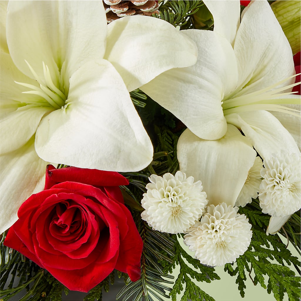 Seasonal Festivities Centerpiece –  Genoveva Rodriguez Flower Shop, San Benito TX