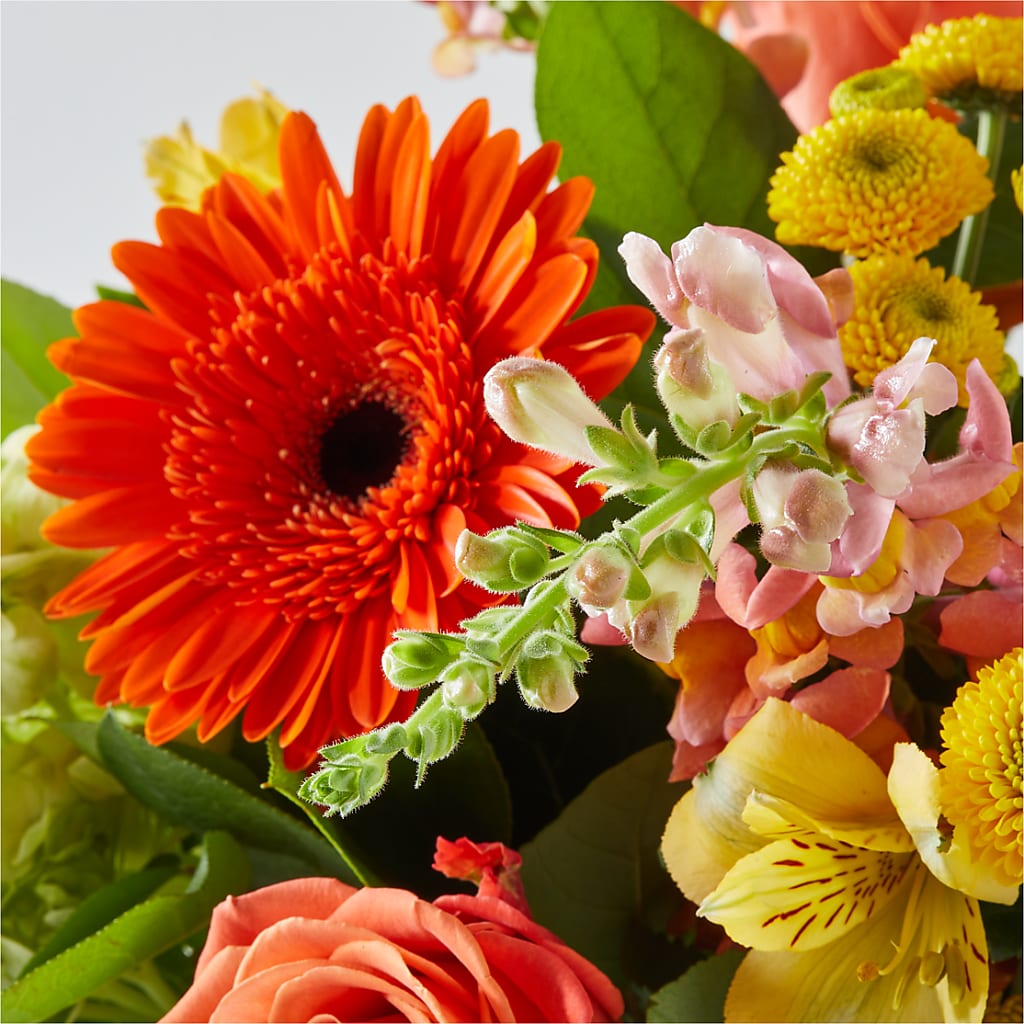 Autumn Sunshine Bouquet –  Genoveva Rodriguez Flower Shop, San Benito TX