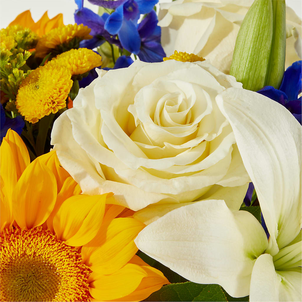 Stargazing Bouquet –  Genoveva Rodriguez Flower Shop, San Benito TX