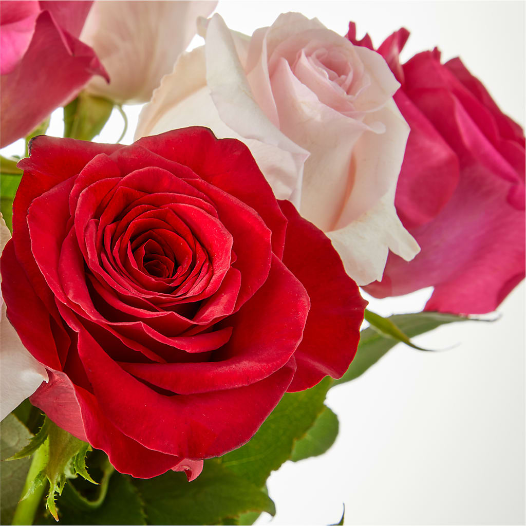 Charming Rose Bouquet –  Genoveva Rodriguez Flower Shop, San Benito TX